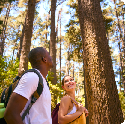 Couple hiking through forest